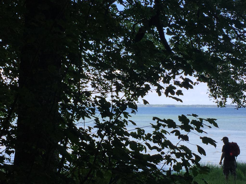 Lindegaardapartment - Woods And Sea 하일스 외부 사진